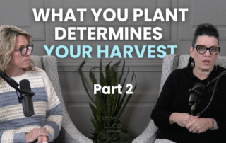 What You Plant Determines Your Harvest Pt 2
