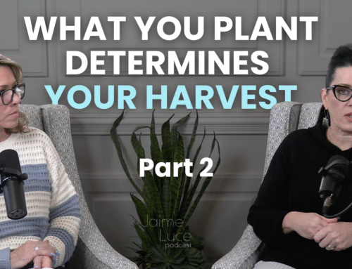 What You Plant Determines Your Harvest Pt 2