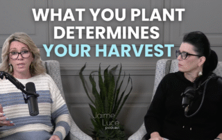 What You Plant Determines Your Harvest