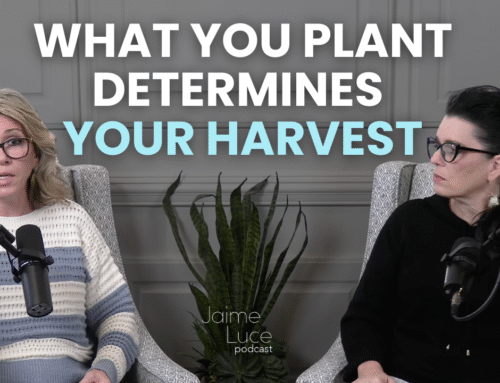 What You Plant Determines Your Harvest